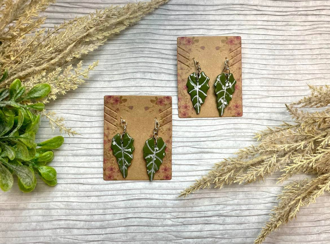 Variegated Alocasia Earrings